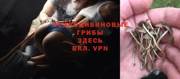 бошки Осинники