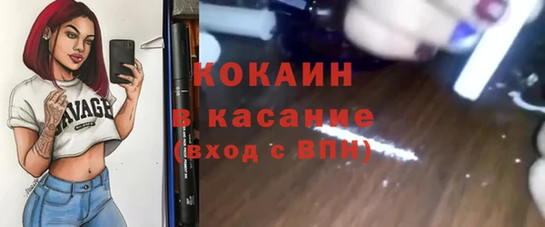 гидра Няндома