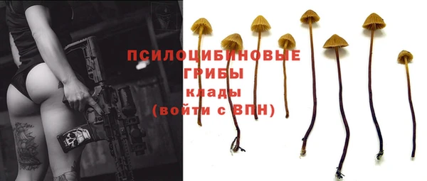 бошки Осинники