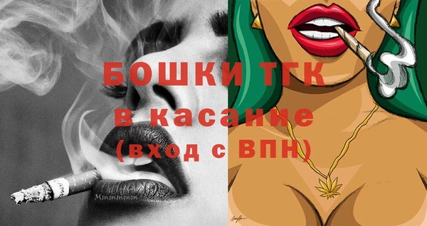 прущие грибы Болотное