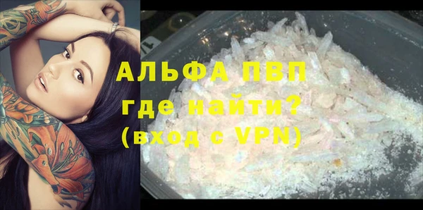 ПСИЛОЦИБИНОВЫЕ ГРИБЫ Осташков