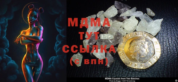 прущие грибы Болотное