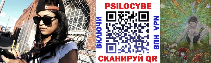 где можно купить наркотик Клин Псилоцибиновые грибы MAGIC MUSHROOMS