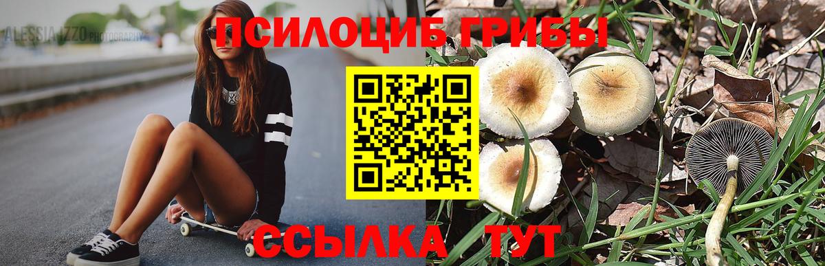 Галлюциногенные грибы MAGIC MUSHROOMS  Вход с VPN  Галлюциногенные грибы Magic Shrooms  как найти наркотики  Клин 